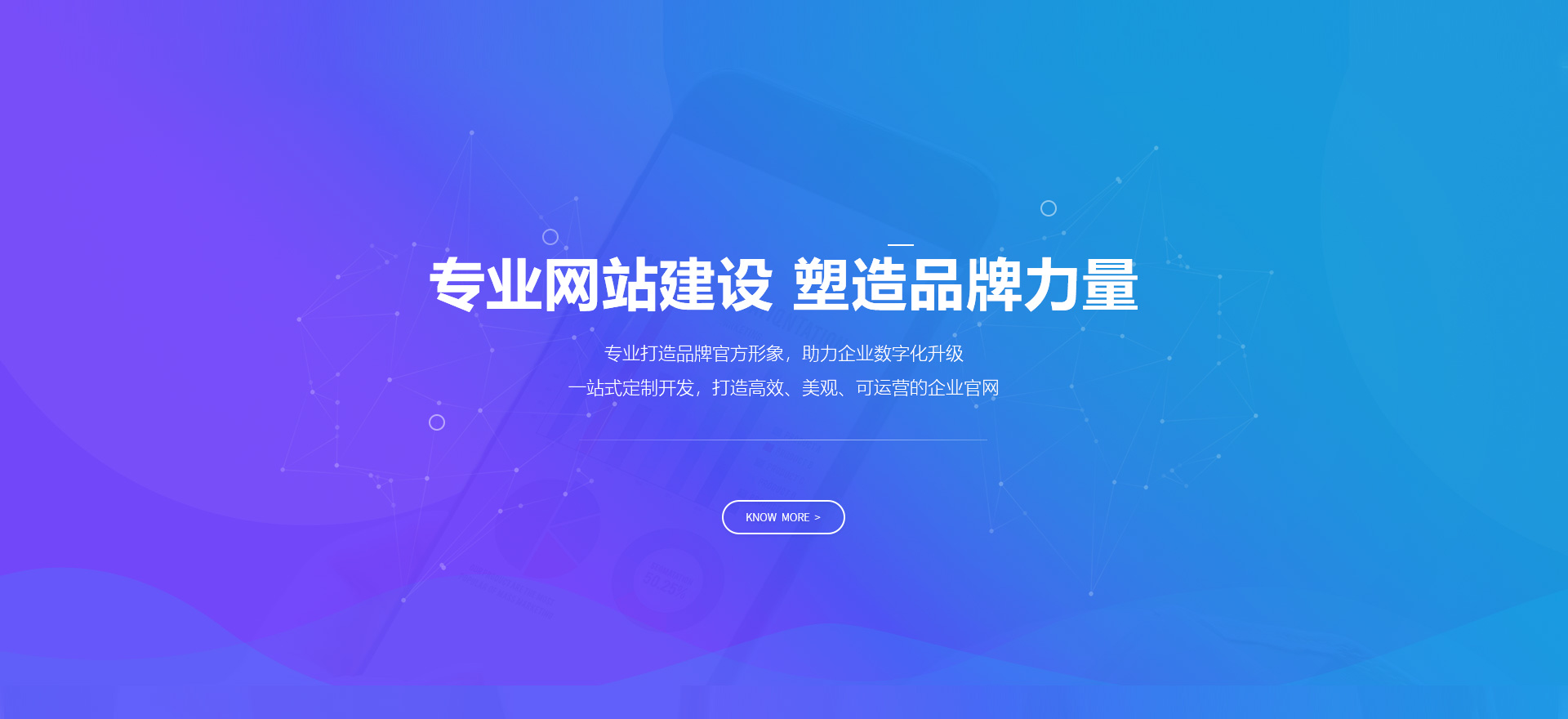 辽源建站-专业网站建设 塑造品牌力量