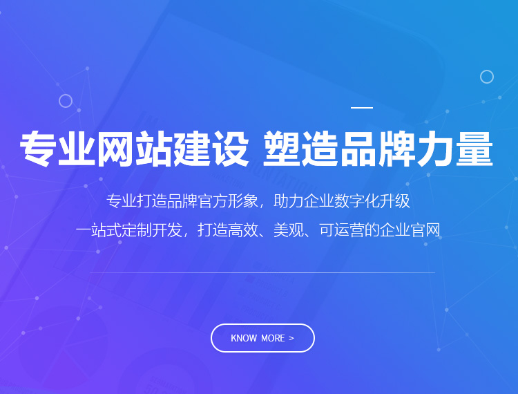 辽源建站-专业网站建设 塑造品牌力量